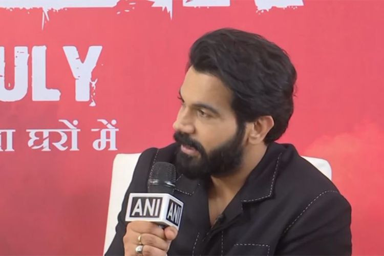 What did Rajkumar Rao say about the lack of parallel cinema after the film 'Stree'