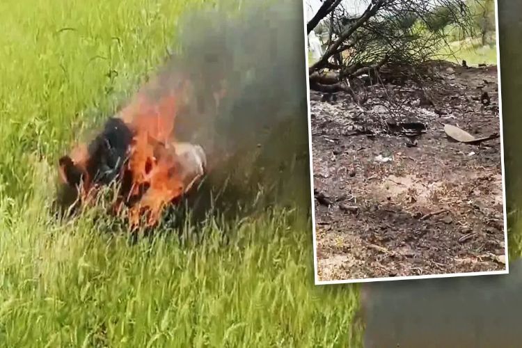 IAF releases identities of pilots killed in Jaguar crash