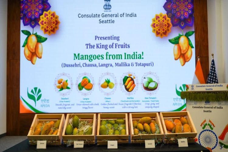Indian mango exhibition in Seattle, USA