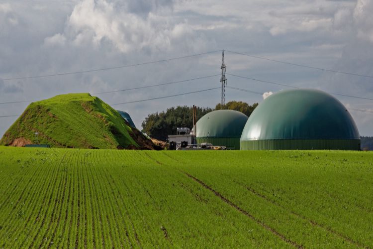 Government should give Rs 10,000 subsidy to families on biogas plant: IBA