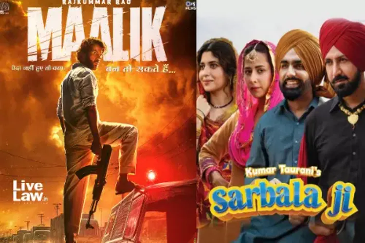 Court stops 56 websites from streaming 'Malik' and 'Sarbala Ji' movies