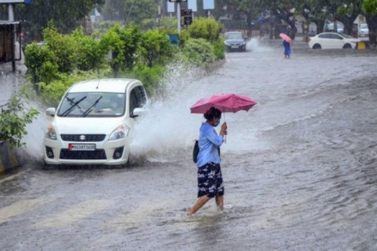 The country has received 9 per cent more rainfall than normal: IMD
