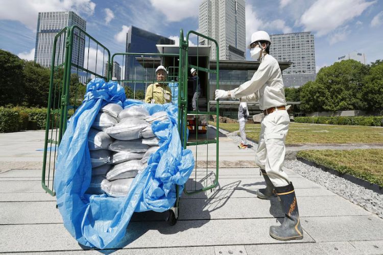 Fukushima soil used in Japanese Prime Minister's Office