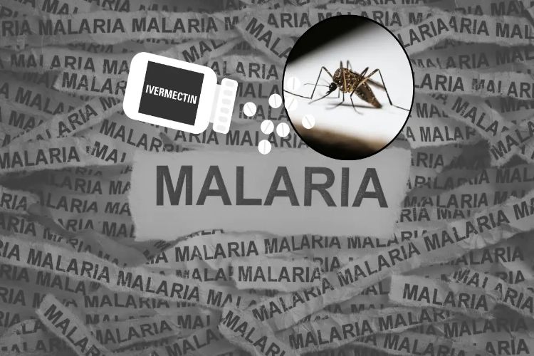 'Mosquito pill' Ivermectin reduces infections by 26% - Study