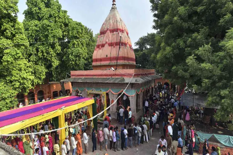 Uttar Pradesh: On Nag Panchami, devotees offered prayers at Shri Nagvasuki Temple