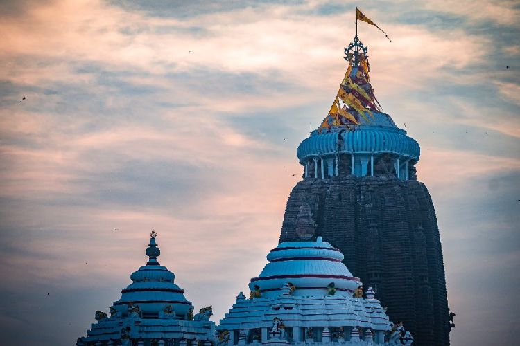There is no hidden chamber in the Ratna Bhandar of Puri's Jagannath temple: Archaeological Survey of India