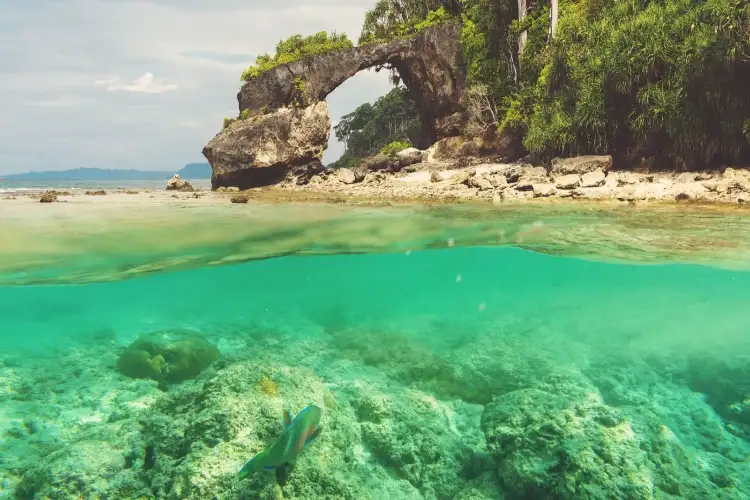 Andaman to get 5 luxury eco-tourism resorts, including one at uninhabited Aves Island