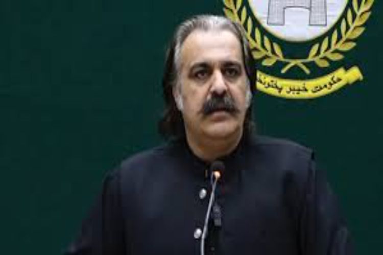 I will expose India in FATF : Ali Amin Gandapur