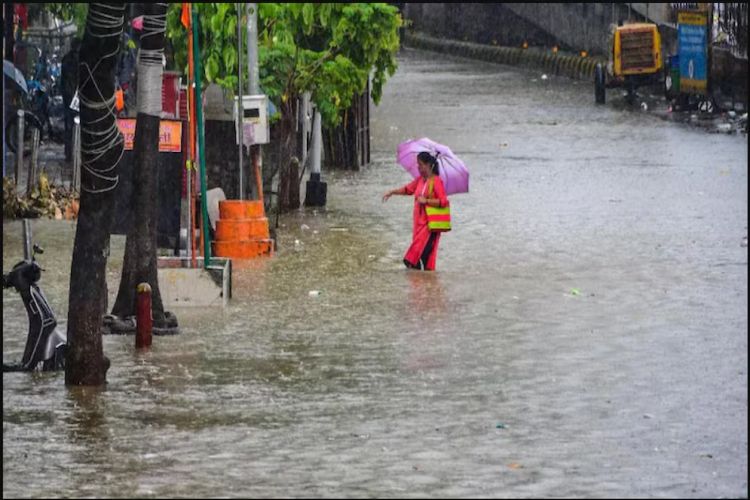 The Meteorological Department has predicted heavy rains and thunderstorms in parts of Andhra from August 1 to 7