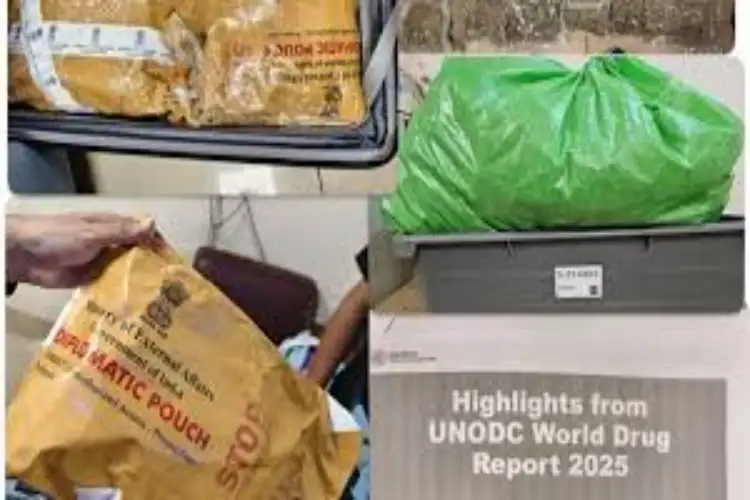 Mumbai customs seizes Rs 14 crore worth of Hydroponic weed at CSMI Airport; one passenger arrested