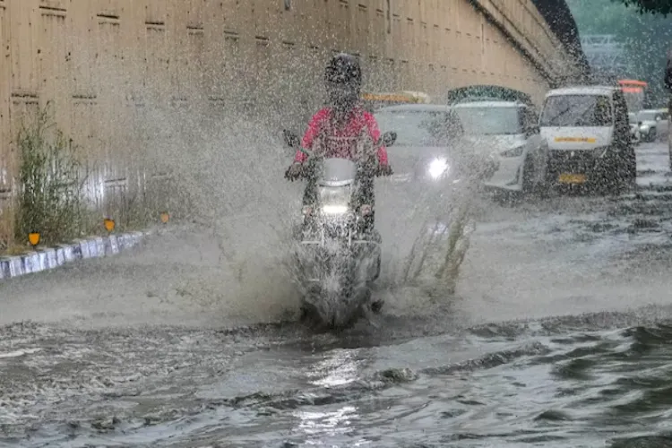 Rain is expected to continue in Rajasthan this week as well