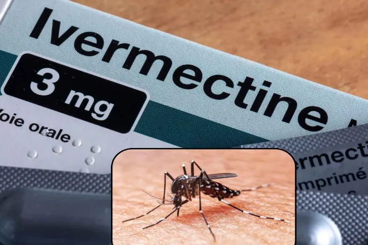 Ivermectin pill reduces malaria  Big revelation in global study