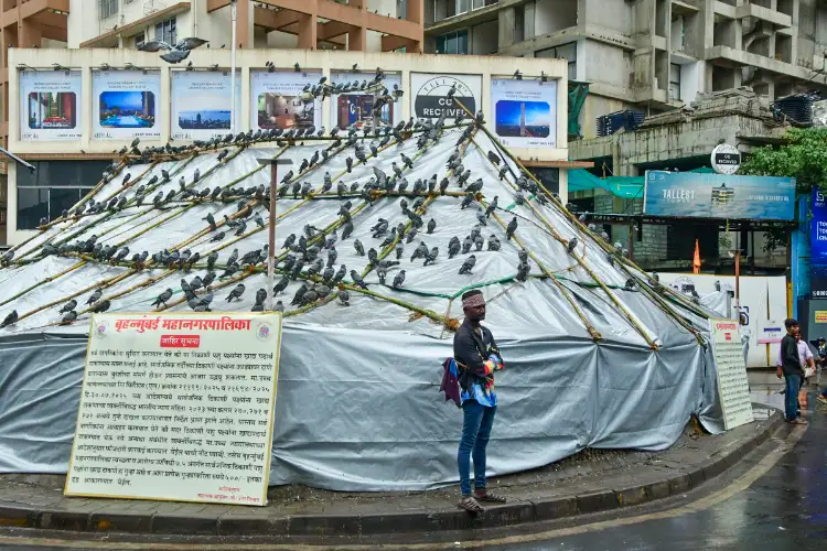Protesters remove tarpaulin from 'kabutarkhana' in Mumbai; minister condemns act