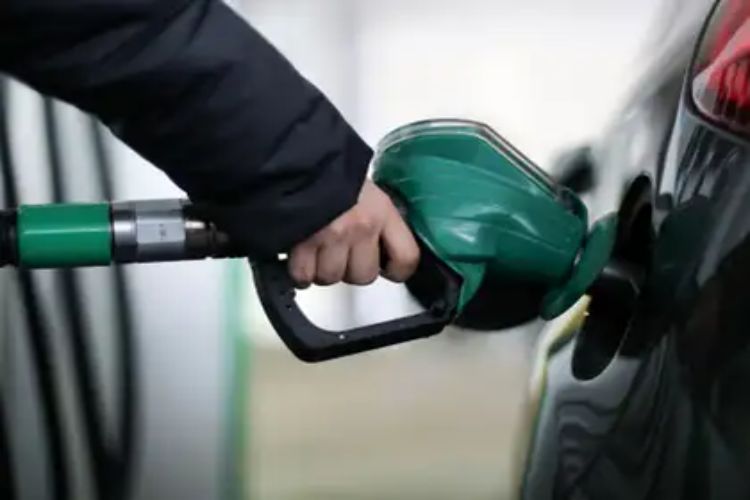 Government is considering revising the license standards for petrol pumps