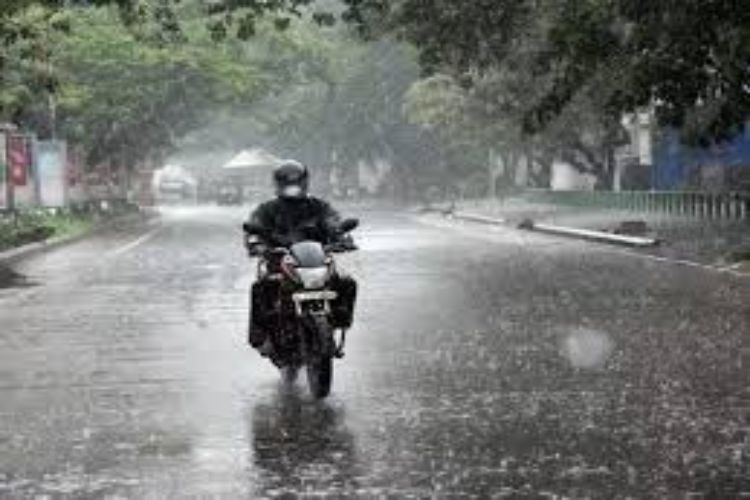 India received normal monsoon rainfall, but some states received excess rainfall while some were thirsty for rain: IMD