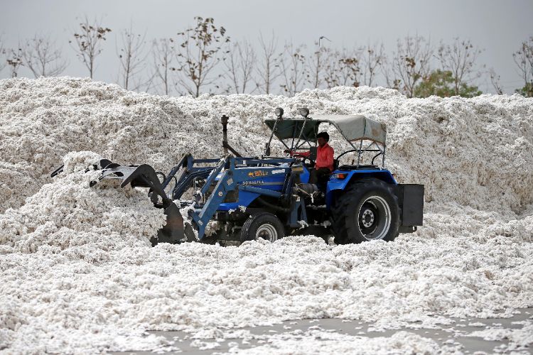Government allows duty-free import of cotton till September 30