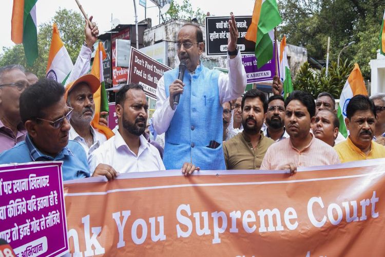 Vijay Goyal filed a complaint against dog lovers