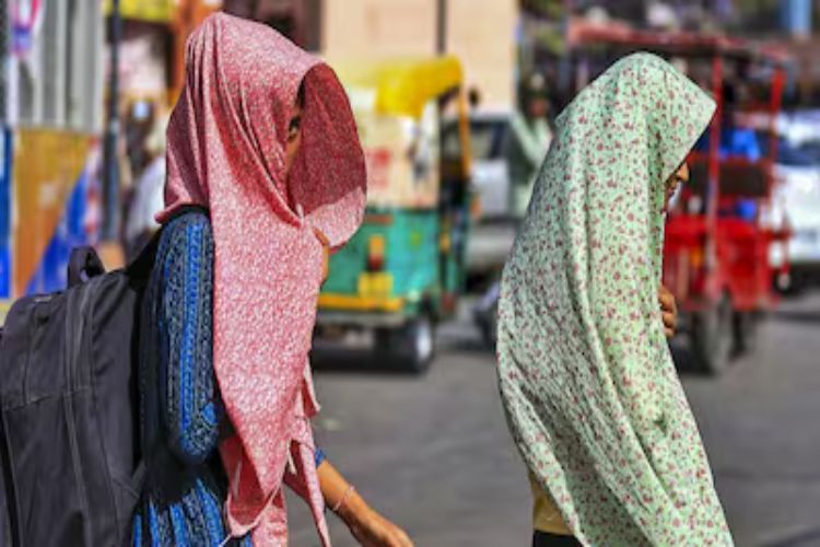 Delhi adults breathe in twice as many microplastics during summers: Study