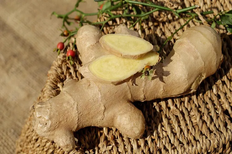 Amazing benefits of ginger: Daily consumption will give you health and energy