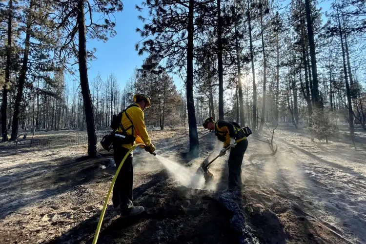 Efforts continue to extinguish a fire that has burned one of the world's tallest trees near southern Oregon