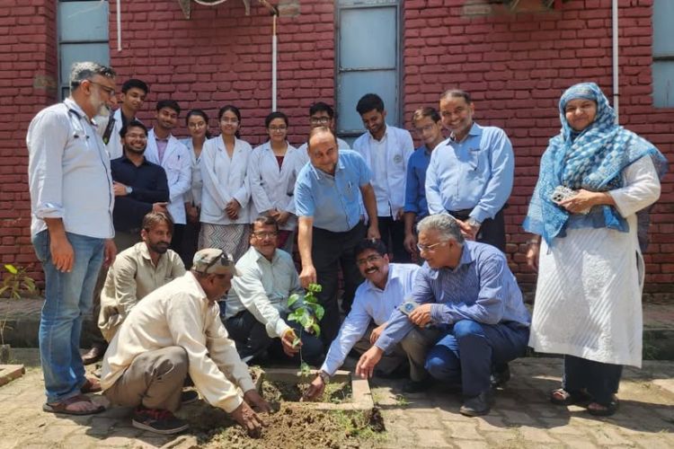 Tree plantation program under the campaign “One tree in the name of mother” at AMU