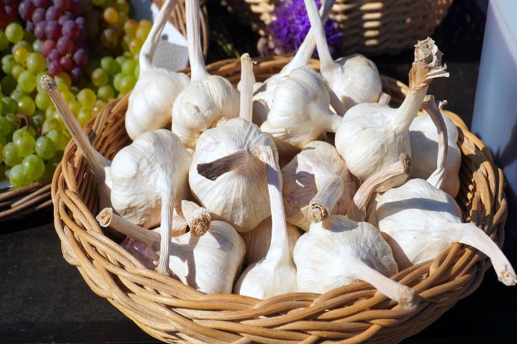 What are the benefits of eating garlic on an empty stomach?
