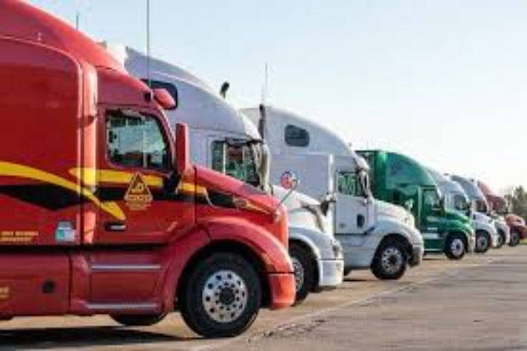 US stops worker visas for commercial truck drivers