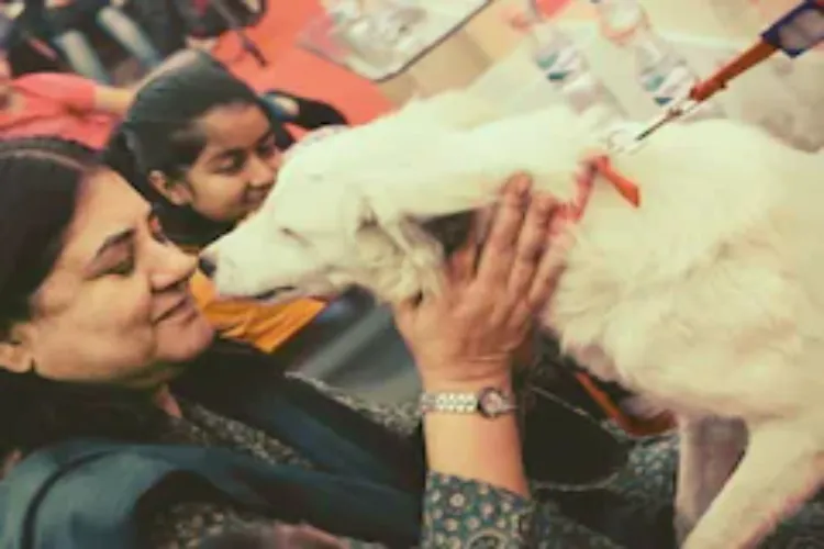 Maneka Gandhi welcomed the Supreme Court's decision on stray dogs