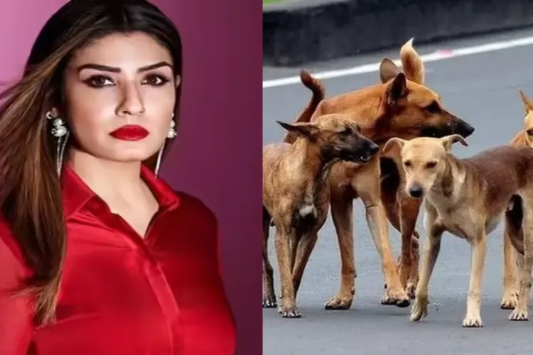 On the new order of the Supreme Court, Raveena Tandon said – 