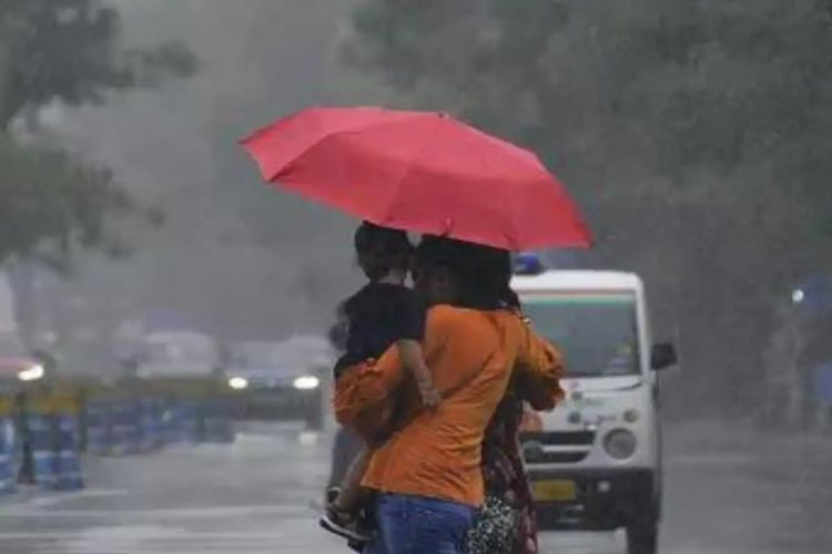 Due to continuous rain, life has been disrupted in many districts of Rajasthan