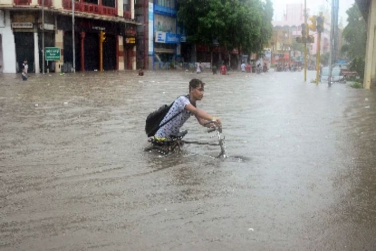 Continuous rains have affected life in many districts of Rajasthan
