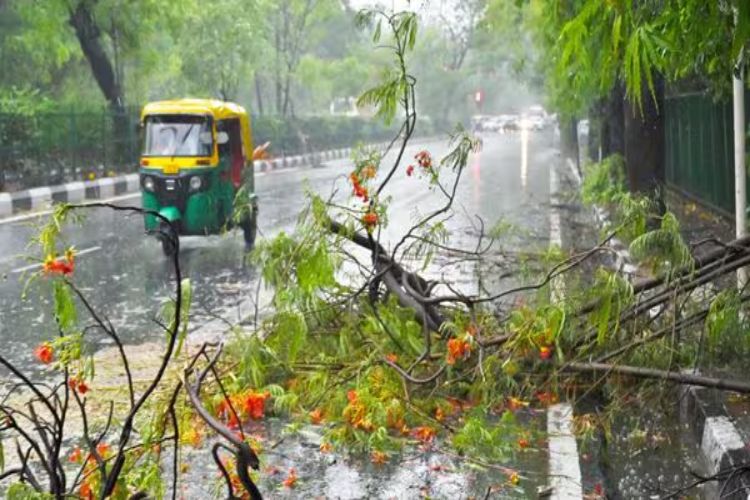 'Yellow alert' issued for rain with thunder and strong winds in Delhi