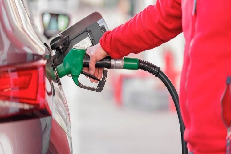 2-5% drop in fuel efficiency possible due to E20 petrol: Car experts