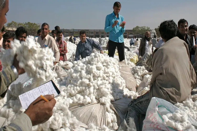 US to benefit most from India's raw cotton import duty waiver: GTRI