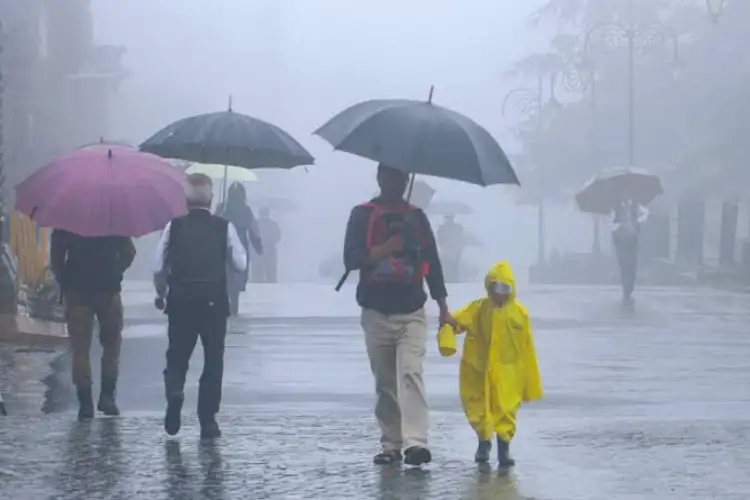 Thunderstorms with heavy rain likely in parts of Haryana and Punjab: IMD