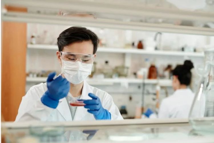 Key protein that controls fat storage in cells discovered: Study