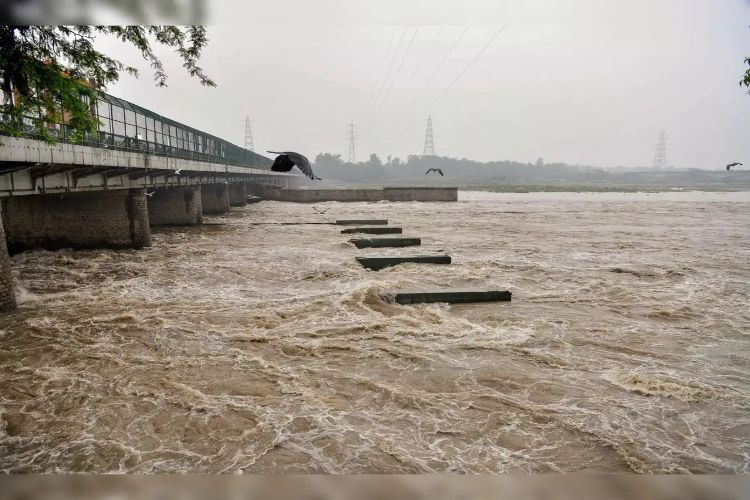 Yamuna water level rises, rain again in many districts