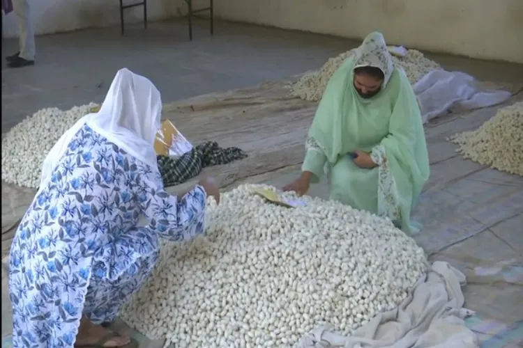 J&K: Central Silk Board organises cocoon auction market in Anantnag under ‘Mera Resham Mera Abhimaan’ programme