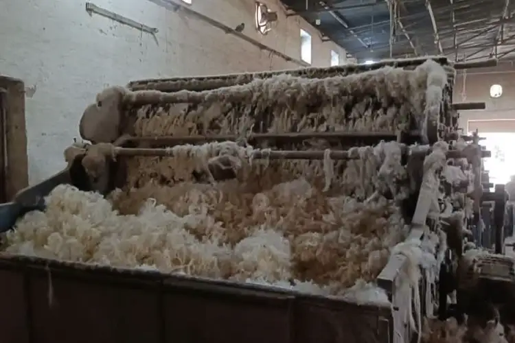 Rajasthan: Wool traders in Bikaner seek relief from Centre amid 50% US tariffs
