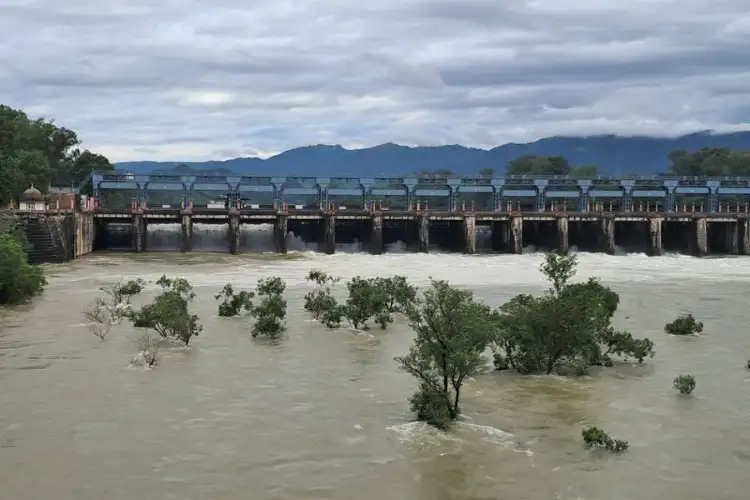 Heavy rains continue in Punjab and Haryana; red alert issued for several districts