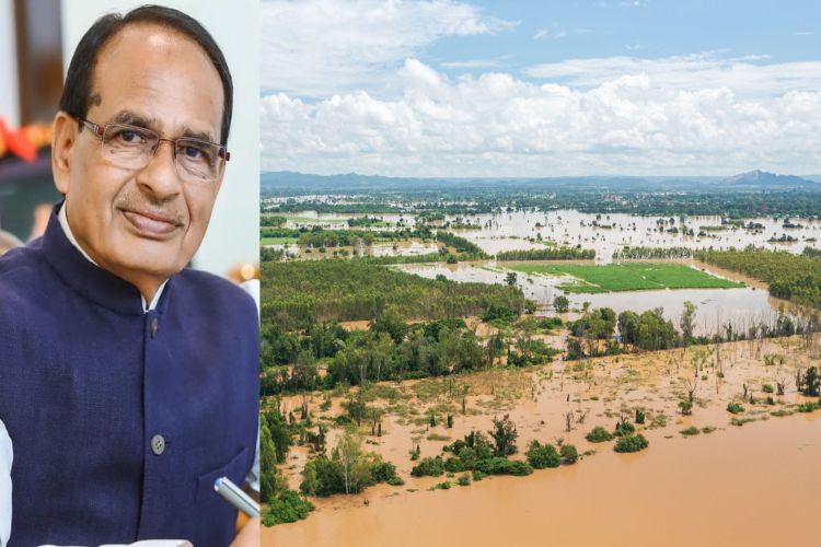 Union Agriculture Minister Shivraj Singh Chouhan visits flood-affected areas in Punjab