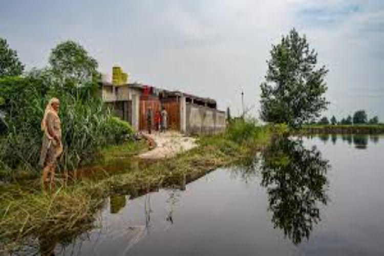 Punjab floods: Death toll rises to 46, standing crops on 1.75 lakh hectares destroyed