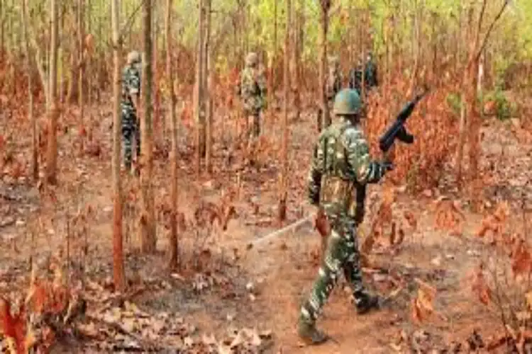 Jharkhand: Naxal killed in encounter with security forces in Chaibasa