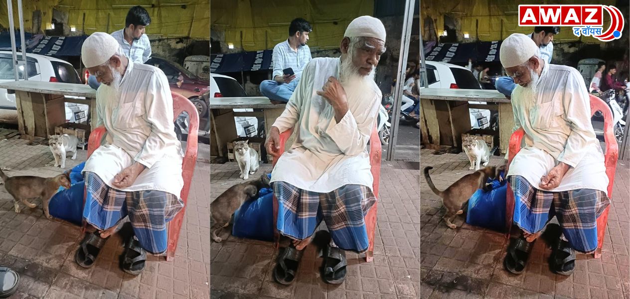 Bashir Chacha from Mumbai: Survives on pension, but has an open heart for stray animals