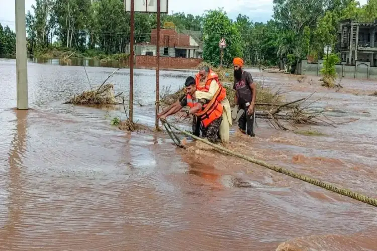 Punjab: BSF organises medical camp in flood-hit area of Fazilka district