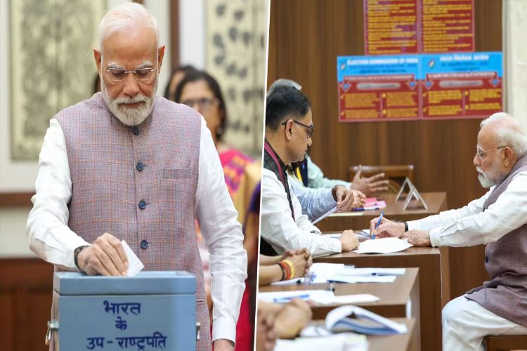 Vice Presidential Election: 96 percent voting till 3 pm, Prime Minister and many prominent leaders cast their votes