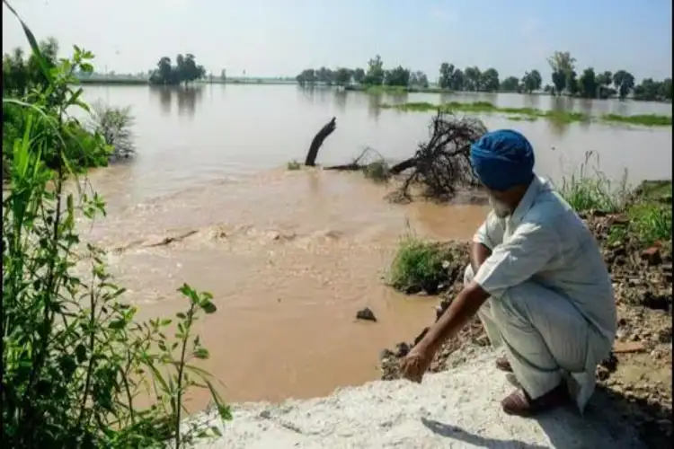 Persistent heavy rain and floods impact crops across India: Crisil Report