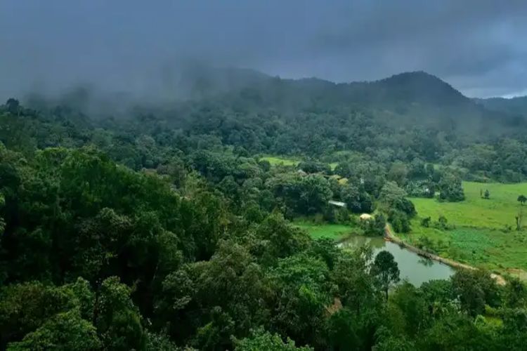 Why visit Coorg on your next trip? Know 8 big reasons