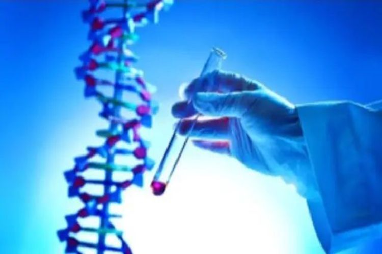 Scientists discover protein important in fat storage inside cells