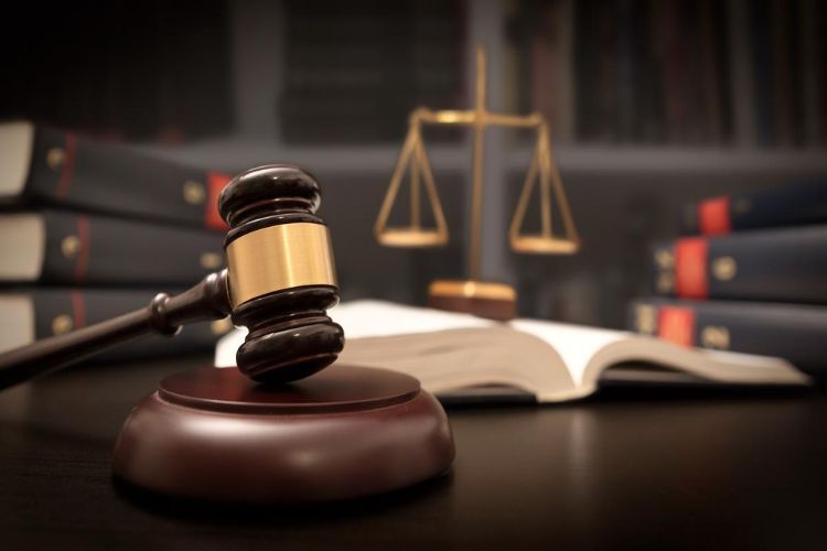 Madhya Pradesh High Court temporarily stops live streaming of criminal case hearings